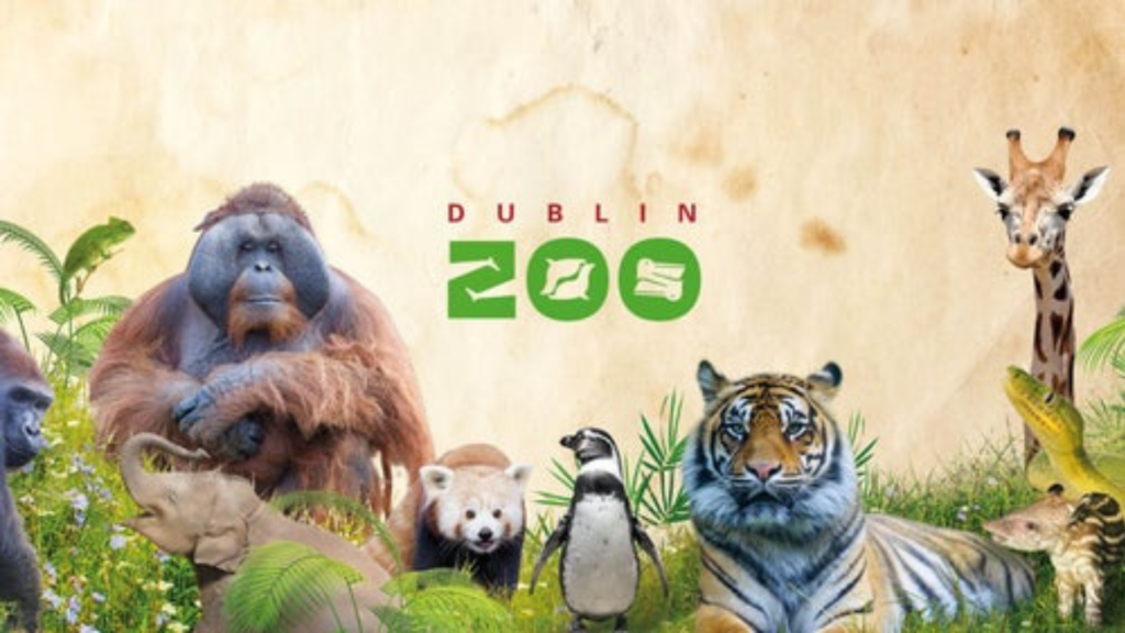 Dublin Zoo Website Image.